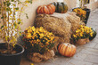 Pumpkins with flowers and rustic hay decoration outdoors. Stylish autumn decor of exterior building