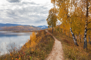 Wall Mural - baikal lake in september. a path along the coast through a beautiful autumn forest with yellowed tre