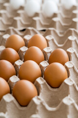 Poster - Organic fresh chicken eggs in carton tray.