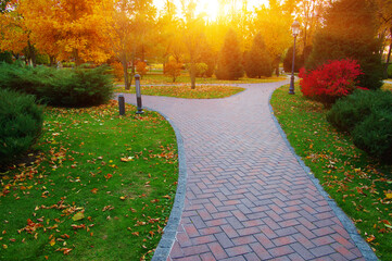 Wall Mural - Autumn park with colorful fall foliage