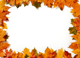 Wall Mural - Autumn leaves frame