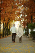 © aletia2011 - Elderly couple in autumn. Full length view from the back