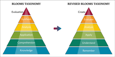 Blooms Taxonomy and Revised Blooms Taxonomy in a Infographic template