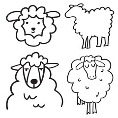 Wall Mural - Sheep. Collection of icons. Vector outline illustration on white background.