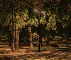 Wall Mural - park in autumn