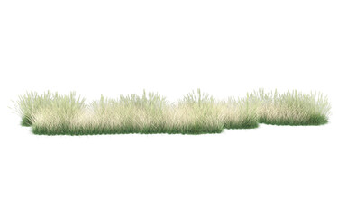 Poster - Grass on transparent background. 3d rendering - illustration