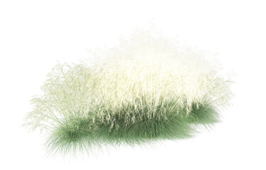 Wall Mural - Grass on transparent background. 3d rendering - illustration