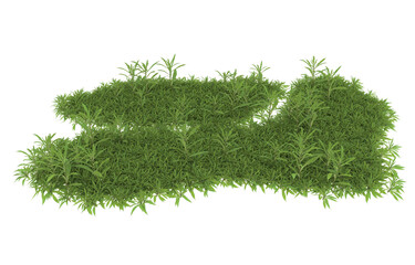 Wall Mural - Grass on transparent background. 3d rendering - illustration