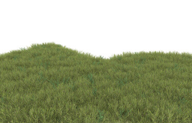 Wall Mural - Grass on transparent background. 3d rendering - illustration