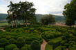 Jardins du château de Marqueyssac