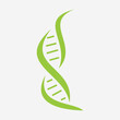 DNA Icon On Letter W Vector Template For Healthcare Sign