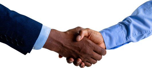 Wall Mural - Image of shaking hands of biracial businesswoman and african american businessman