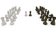 Image of black and white chess pieces, with two pawns opposing