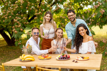 Wall Mural - Group of happy young people cheering with fresh lemonade and eating fruits in the garden