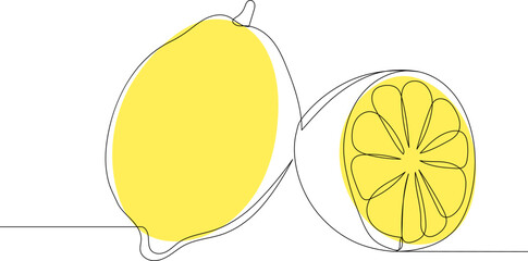 Wall Mural - lemon sketch, one line drawing, vector