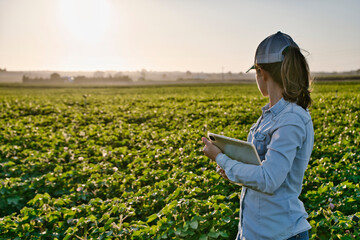smart farmer woman agronomist checks the field with tablet. inteligent agriculture and digital agric