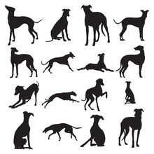 Greyhound Dog Silhouettes, Greyhound Dog Animal Silhouette Collection
