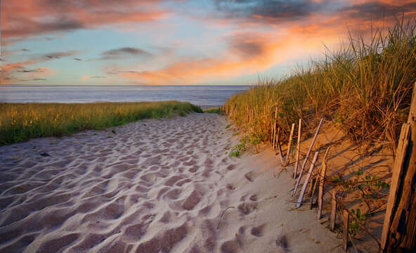 Path at Race Point at Provincetown, Cape Cod