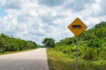 Jaguar crossing sign along an empty highway in the Yucatan
