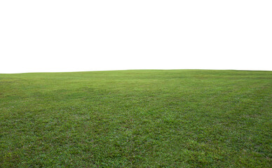 green grass field background