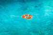 Life buoy floater preserver floating on turquoise caribbean sea, Dutch Antilles