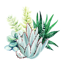 Wall Mural - Bright watercolor succulent plants bouquet, arrangement, hand drawn