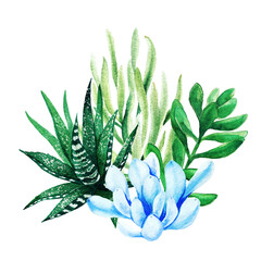 Wall Mural - Bright watercolor succulent plants bouquet, arrangement, hand drawn