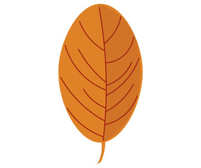 nature, season, autumn, colorful leaves