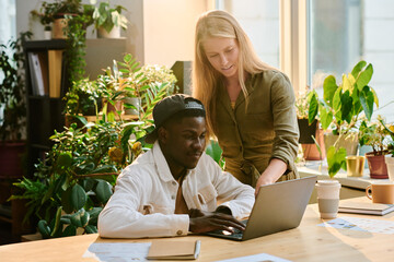 Aufkleber - Young blond woman explaining points of presentation to African American male colleague while pointing at laptop screen