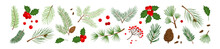 Christmas Pine Cone, Branch Spruce And Fir, Evergreen Vector Icon, Winter Tree, Green Plant And Red Holly Berry, Mistletoe Isolated On White Background. Cartoon Holiday Nature Illustration