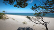 Baltic Sea. Beautiful beach, coast and dune on the Hel Peninsula. Piękne plaże półwyspu helskiego z widokiem na wydmę, roślinność wydmową, piasek i morze bałtyckie.	
