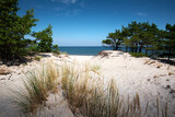 Fototapeta Fototapety z morzem do Twojej sypialni - Baltic Sea. Beautiful beach, coast and dune on the Hel Peninsula. Piękne plaże półwyspu helskiego z widokiem na wydmę, roślinność wydmową, piasek i morze bałtyckie.	