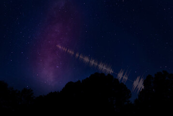 Wall Mural - Bright stars and Milky Way over the trees