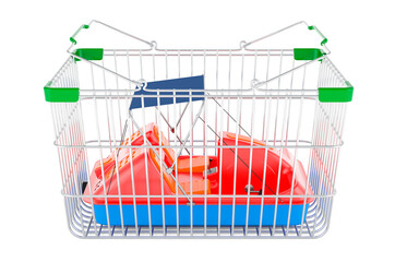 Poster - shopping basket with paddle boat. 3d rendering