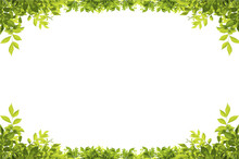 Green Leaves Border Isolated, PNG Transparent