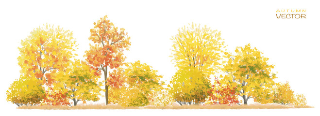 vector autumn trees collection,watercolor blooming flower tree or forest side view isolated on white