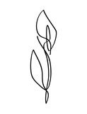 Fototapeta Tulipany - Flower with one line, PNG with transparent background.