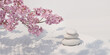 Japanese zen garden stone balance on nature light shadow and sakura with white background.3d render for branding and product presentation. 3d rendering illustration.