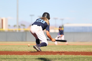 Baseball Sacrifce Bunt