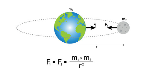 Newton's law of universal gravitation. Earth and moon interactive diagram.