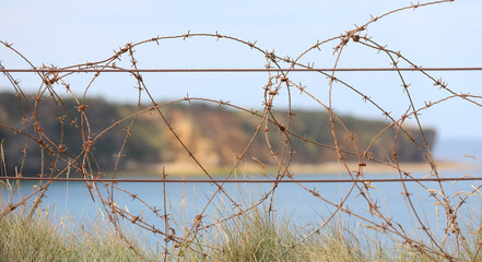 barbed wire of World War II protection in the Normandy landing beaches.