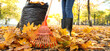Woman raking autumn leaves in park