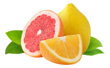 Wall Mural - Pieces of citrus fruits (orange, grapefruit, lemon) cut out