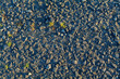 Old crumbled asphalt pattern, grass breaks through the asphalt. High-quality photo