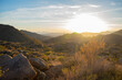 Arizona desert sunset featuring cacti and assorted plant life in a hilly landscape
