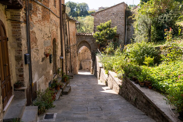 Wall Mural - alley in the medieval Tuscan town of Anghiari