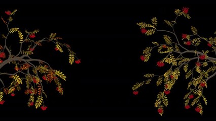 Wall Mural - Autumn Rowan Tree - Gate Screen Decoration - 3D Animation Loop with Alpha Channel