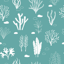 Seamless Sea Pattern With Corals And Seaweeds. Underwater Algae. Vector Marine Illustration.	
