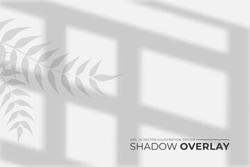Poster - window shadow overlay background,shadow overlay effect illustration,leaves blurred