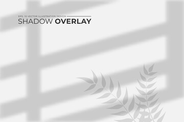 Poster - window shadow overlay background,shadow overlay effect illustration,leaves blured